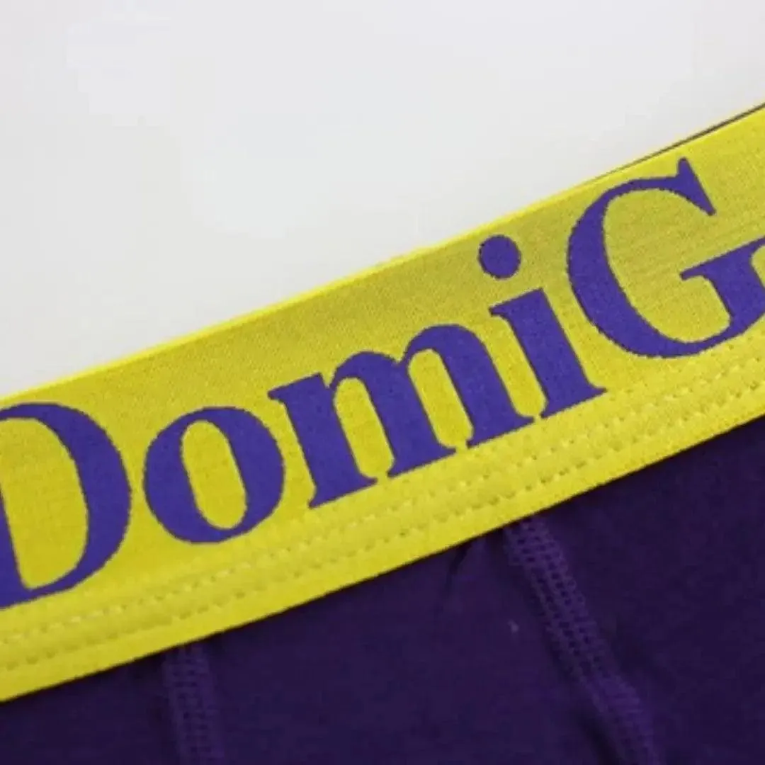 DomiGe Men's Low-Rise Trunks: Contrast Logo Waistband Trunks